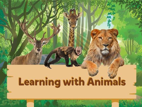 Learning with Animals