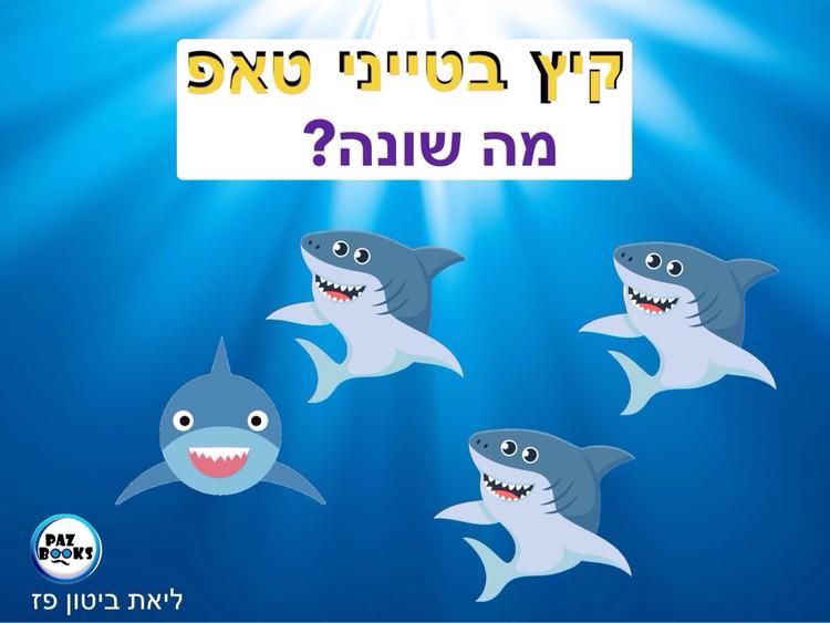 קיץ בטייני טאפ