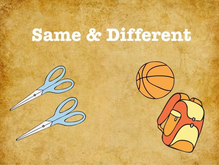 Same & Different
