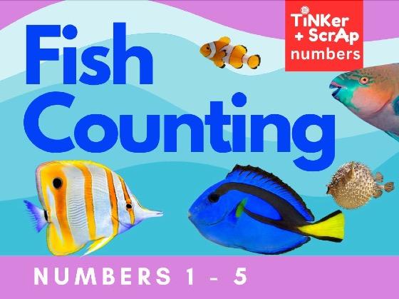 Fish Counting