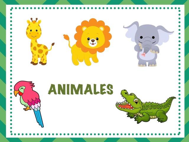 Animales