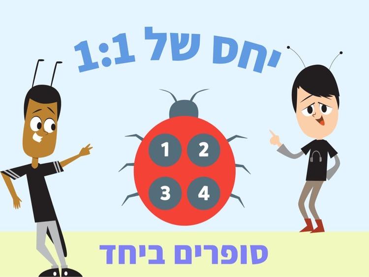 חשבון - יחס של 1:1