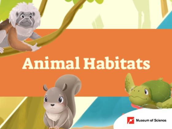 Animal Habitats