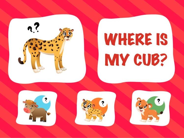 Learn About Animals