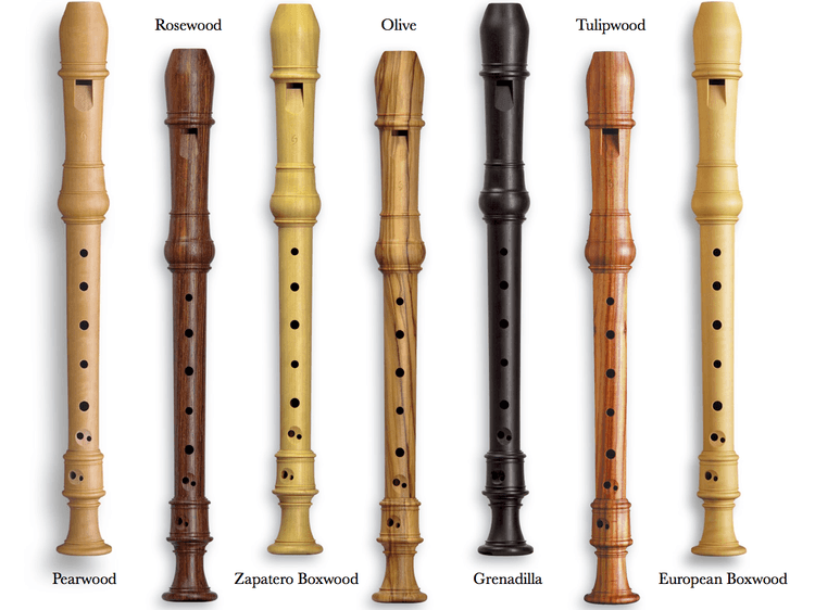 Intro to Recorder