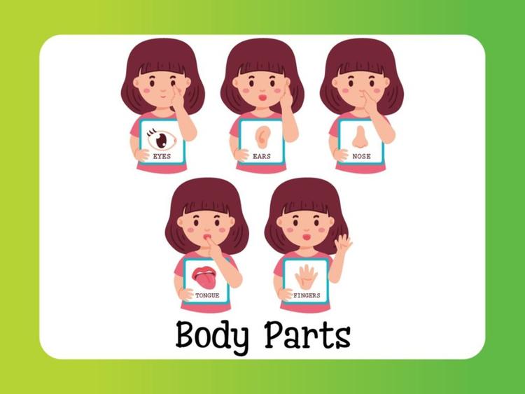 Body Basics: Fun with Body Parts and Clothes for Little Learners