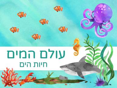 עולם המים: חיות הים